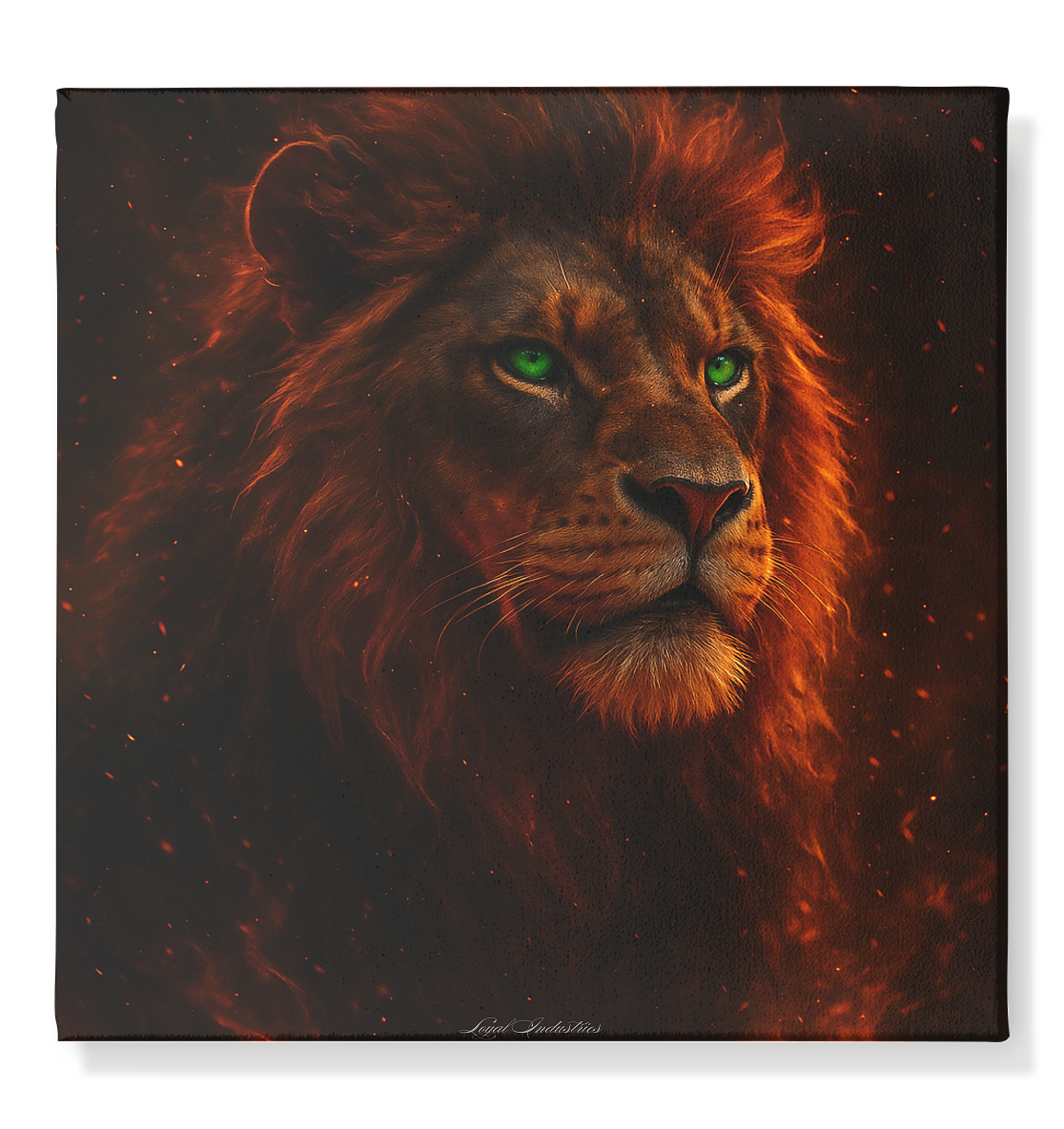 Lion 20 - Leinwand 50x50cm